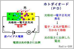 Fig.HC0201_a zg_CI[h̍\Ɠ