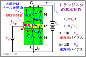 Fig.HC0301_a gWX^̊{