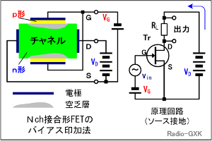 HC0406_a ڍ`FET̃oCAX|