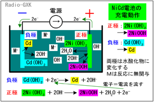 Fig.HG0703_a jbJhdr̓쌴c[d