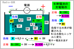 Fig.HG0704_a jbPfdr̓쌴c[d