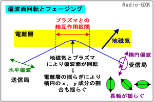 Fig.HI0603_a Δgʉ]ƃtF[WO