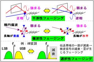 Fig.HI0603_b tF[WO@EI𐫁EΔg