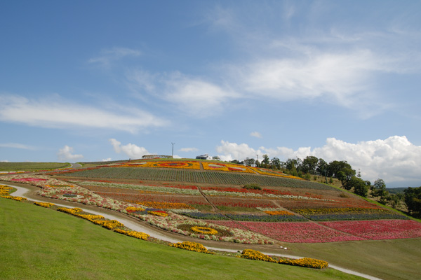上富良野町日の出 日の出公園 公園内の花が咲く丘 北東方向