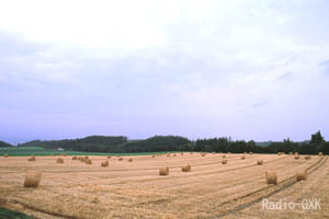 転がる牧草ロール 中富良野町本幸